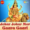Mamta Chandrakar - Johar Johar Mor Gaura Gauri